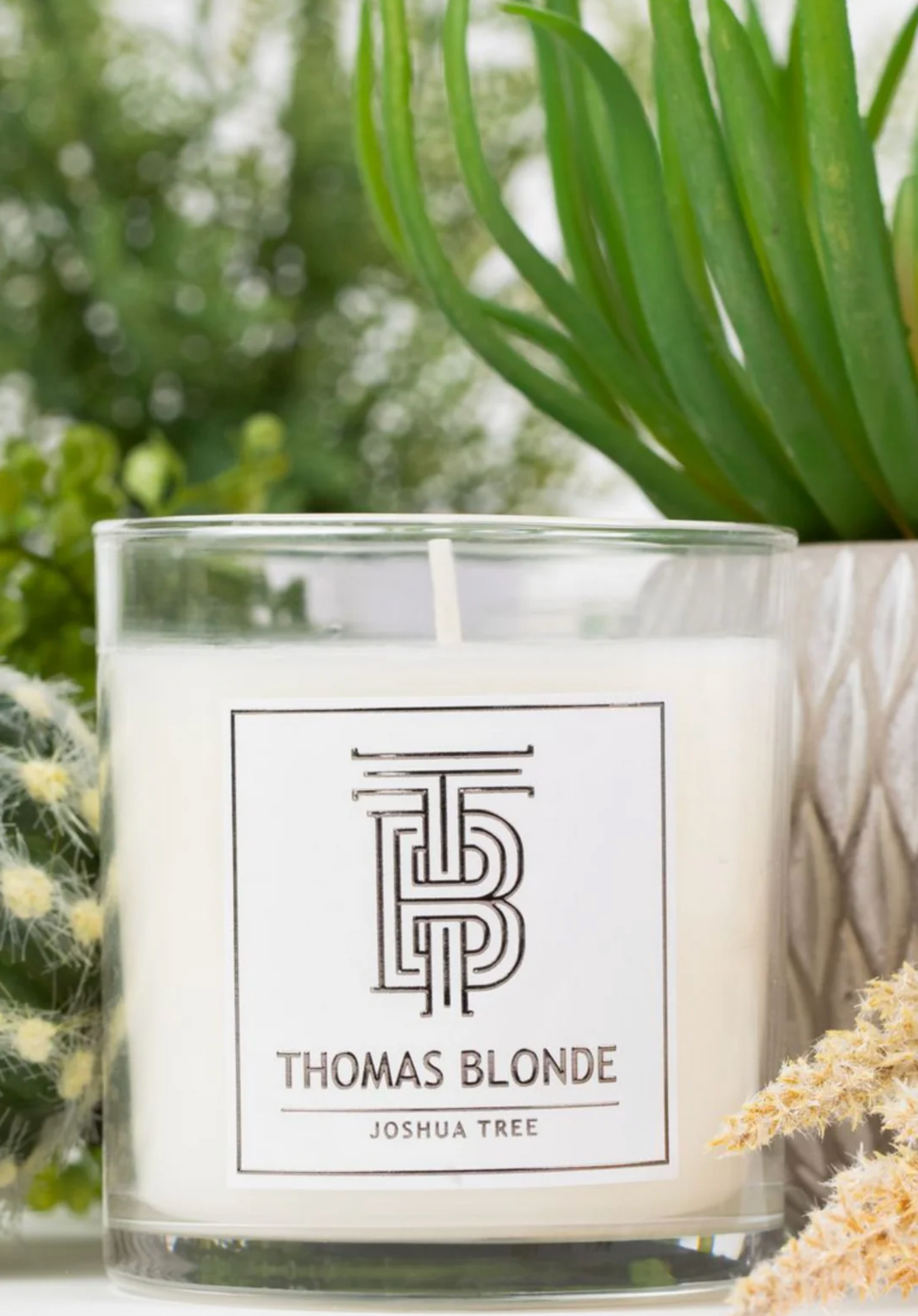 Thomas Blonde Joshua Tree Candle
