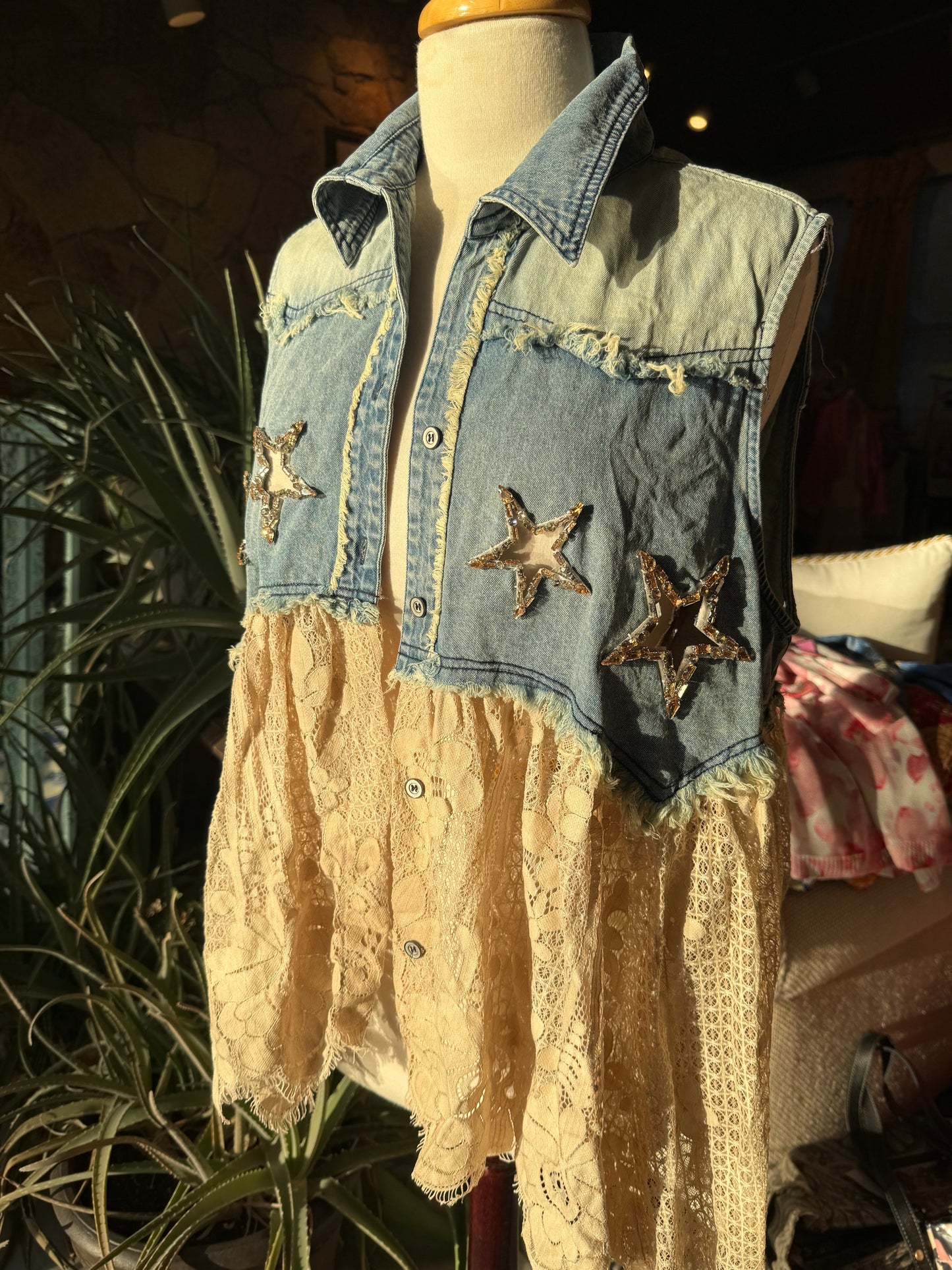 A Rare Bird Tin Star & Wishes Button Vest