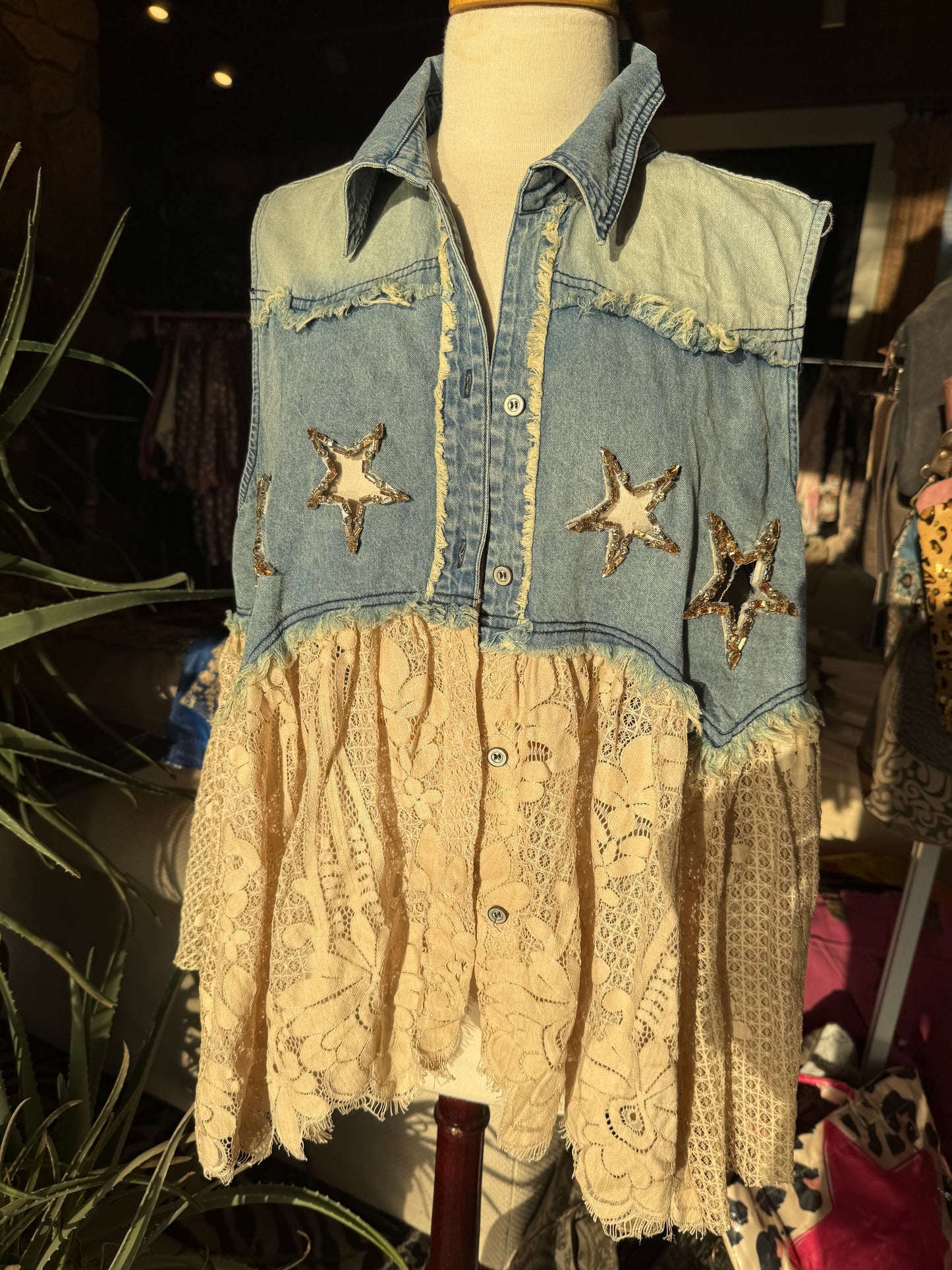 A Rare Bird Tin Star & Wishes Button Vest
