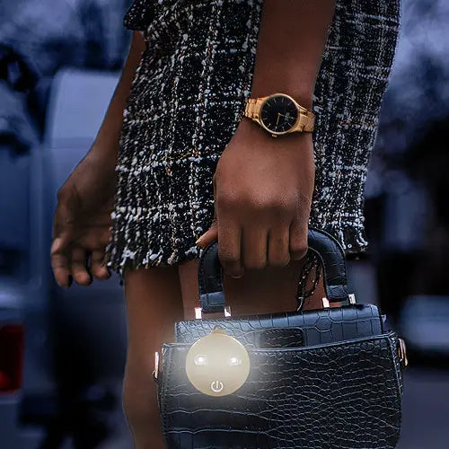 Matte Gold Purse Light